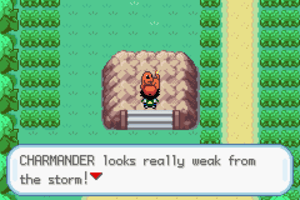 pokemon_ash_gray_charmander