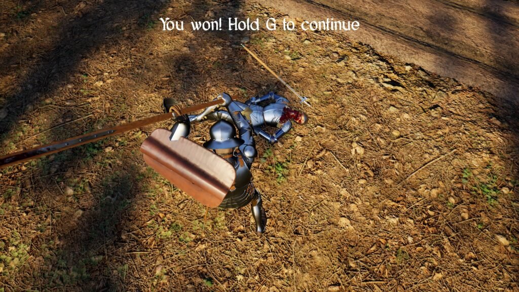 half sword combat issues